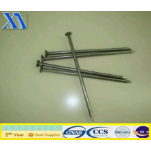 China Wire Nails for Construction (XA-CN008)